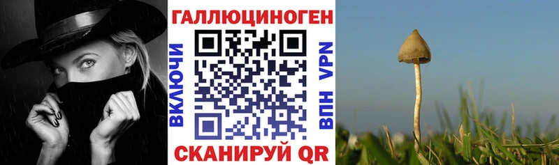 Купить  Мышкин  Псилоцибиновые грибы ЛСД 